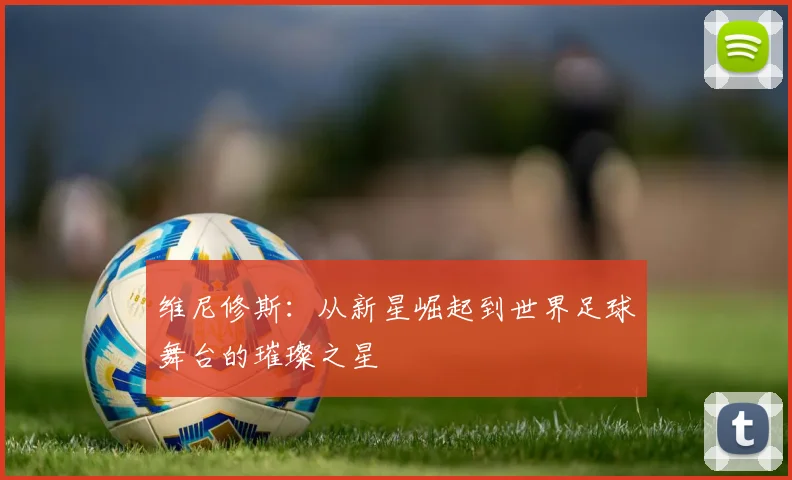 维尼修斯：从新星崛起到世界足球舞台的璀璨之星