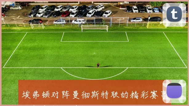 埃弗顿对阵曼彻斯特联的精彩赛事分析与投注建议