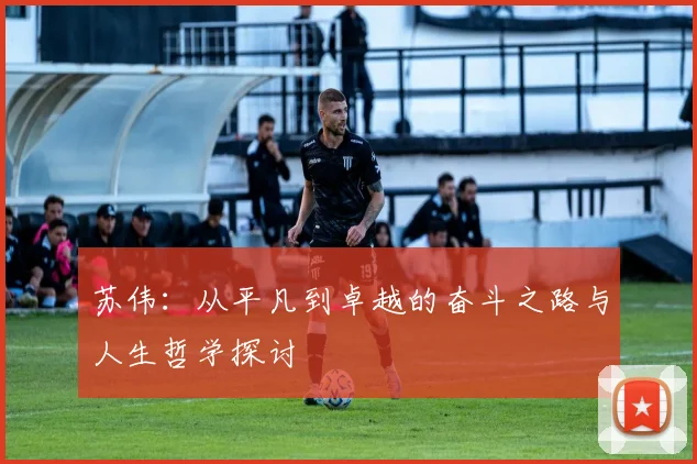 苏伟：从平凡到卓越的奋斗之路与人生哲学探讨