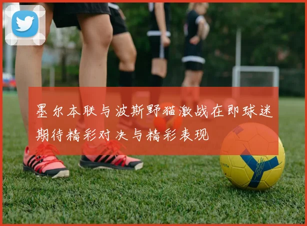 墨尔本联与波斯野猫激战在即球迷期待精彩对决与精彩表现