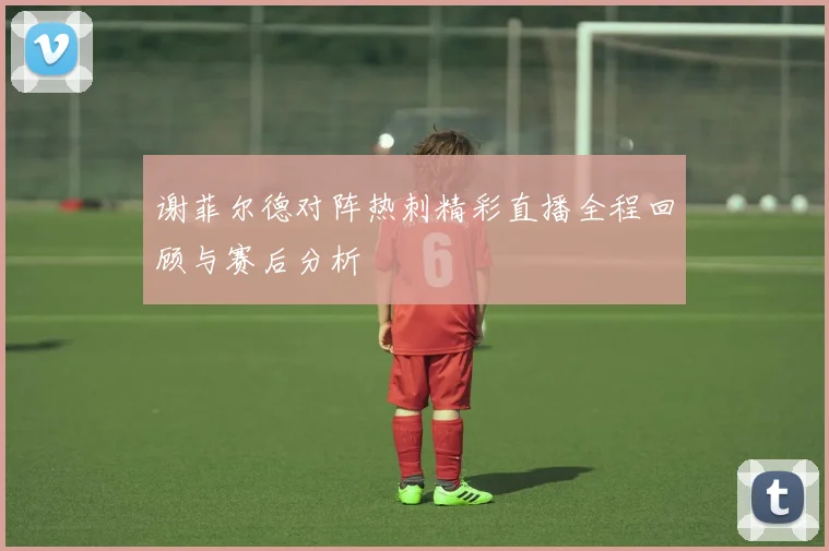 谢菲尔德对阵热刺精彩直播全程回顾与赛后分析