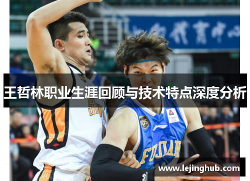 王哲林职业生涯回顾与技术特点深度分析